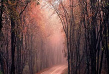 湖人客场惊险获胜，季后赛形势稳中有危