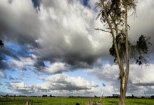 巴黎边锋速度惊人，制造对手防线混乱