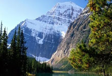 瓦伦西亚主场大胜，重返欧战格局