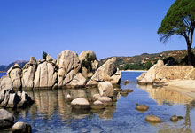 突尼斯运动员成功挺进乒乓球女单决赛